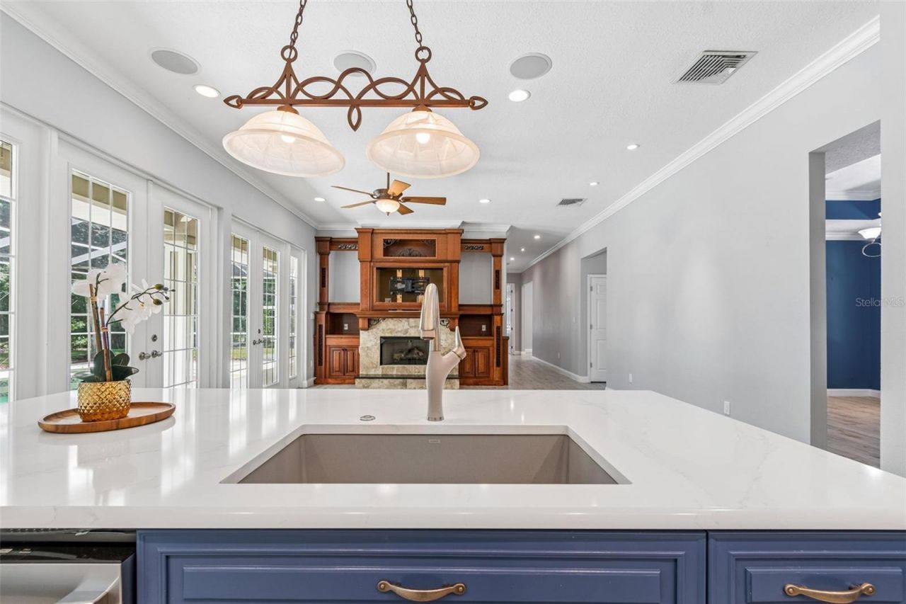 27708 Santa Anita Boulevard, Wesley Chapel, FL 33544 Photo