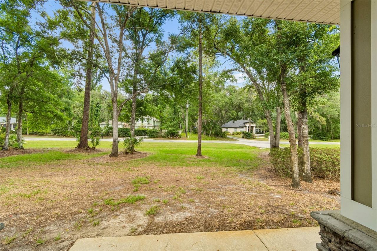27708 Santa Anita Boulevard, Wesley Chapel, FL 33544 Photo