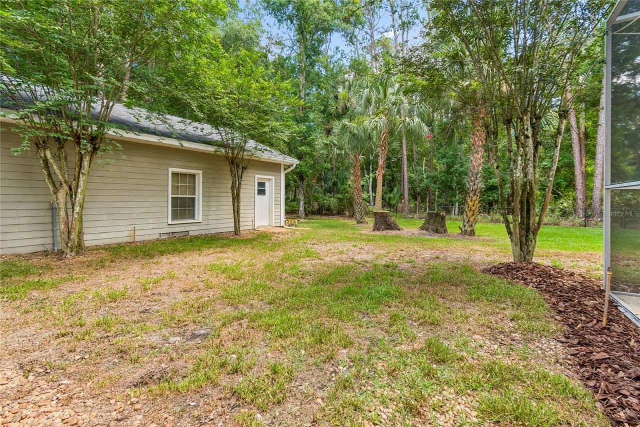 27708 Santa Anita Boulevard, Wesley Chapel, FL 33544 Photo