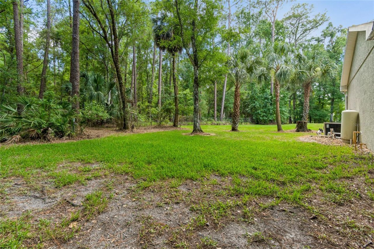 27708 Santa Anita Boulevard, Wesley Chapel, FL 33544 Photo