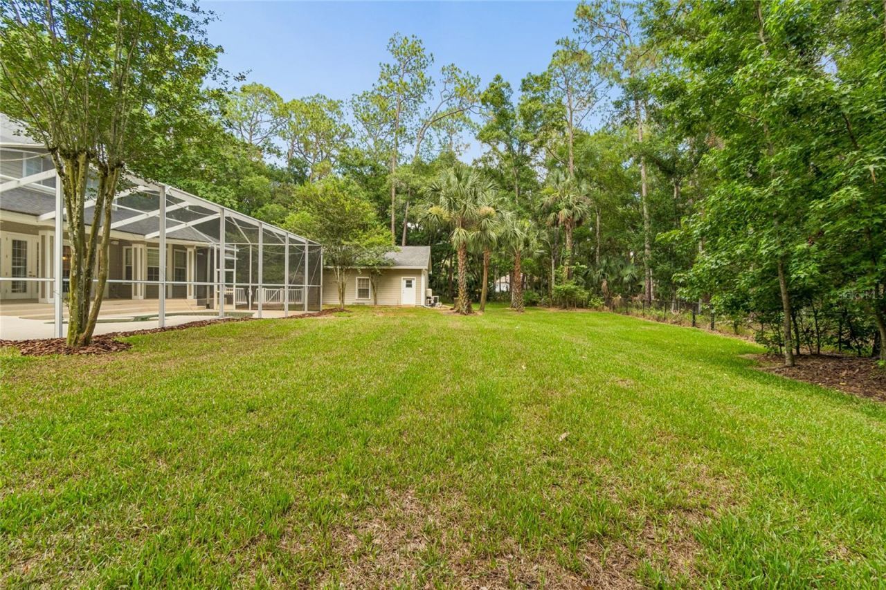 27708 Santa Anita Boulevard, Wesley Chapel, FL 33544 Photo