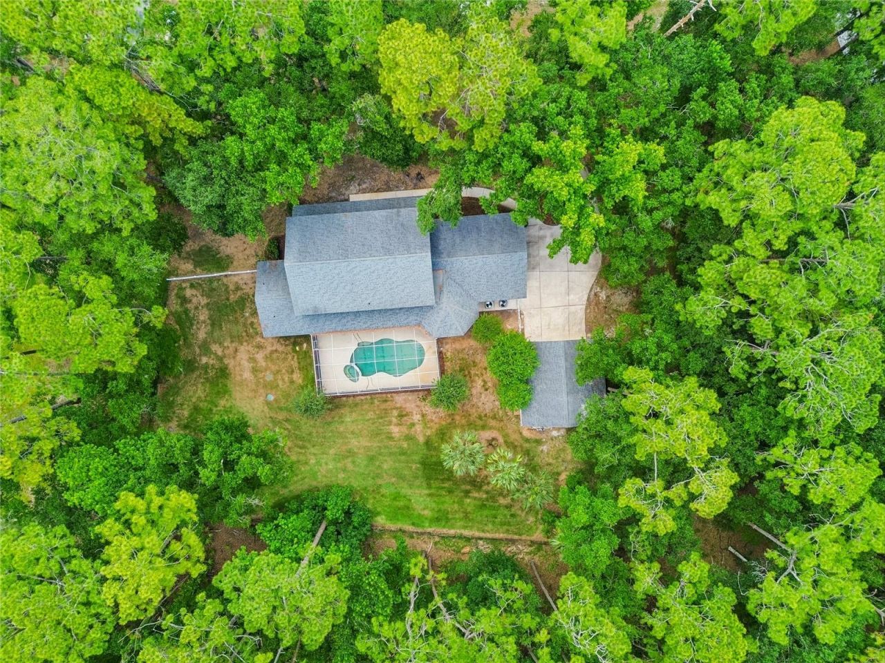 27708 Santa Anita Boulevard, Wesley Chapel, FL 33544 Photo