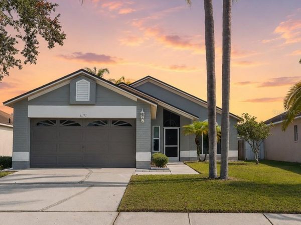 11113 BLOOMINGTON DRIVE , TAMPA, FL 33635