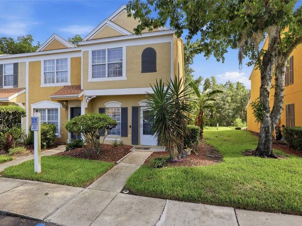 30029 GRANDA HILLS COURT , WESLEY CHAPEL, FL 33543