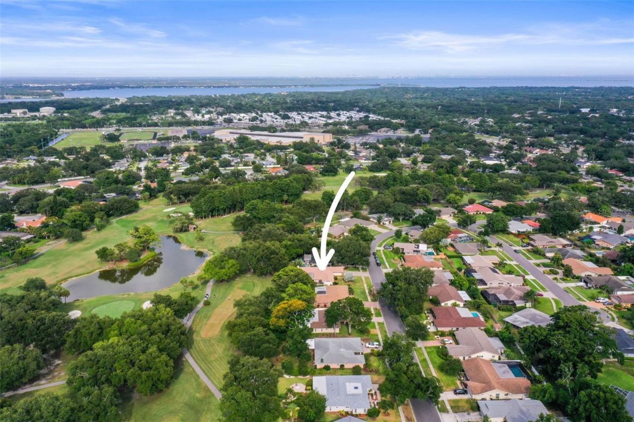 2860 Quail Hollow Road W, Clearwater, FL 33761 Photo