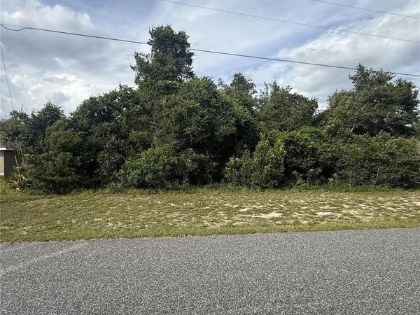 TBD SW 165TH STREET ROAD , OCALA, FL 34473