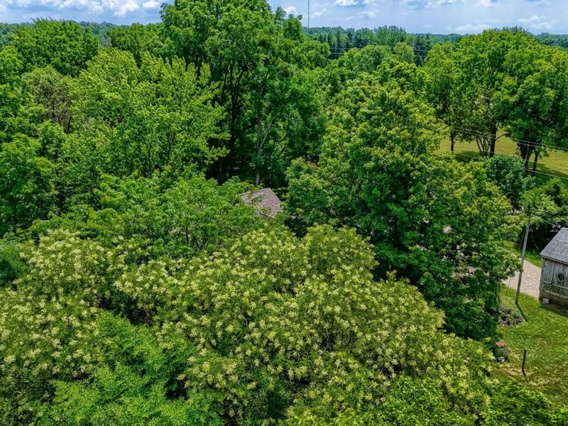 3721 Cedar Hill Road NW, Canal Winchester, OH 43110 Photo 33