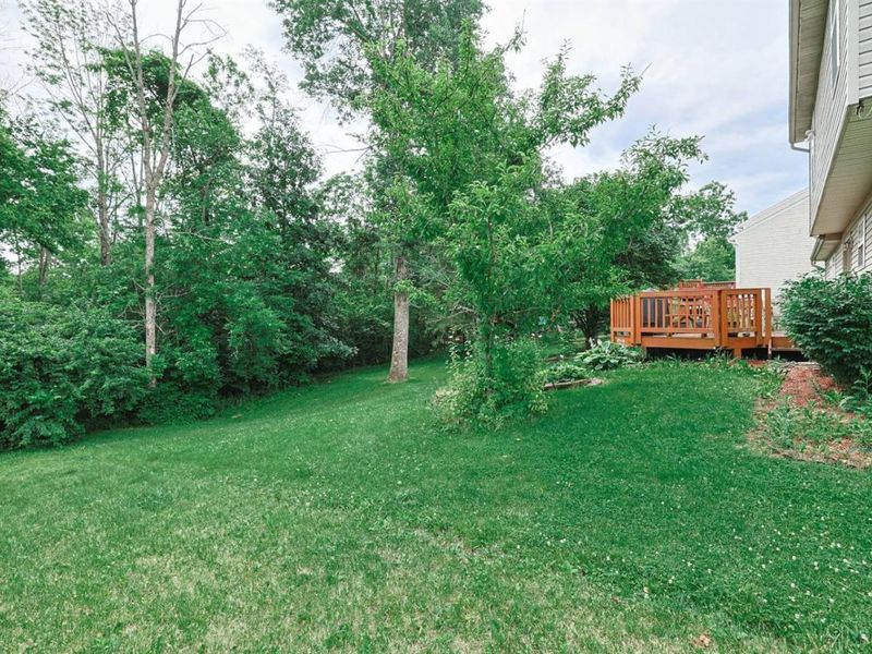 1214 Poplar Hill Drive, Lebanon, OH 45036 Photo 5