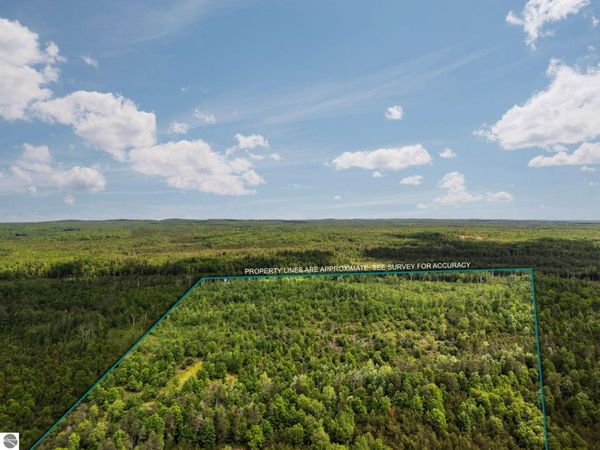 4011 Forest Road W, Lake City, MI 49651