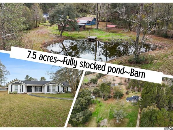 29417 Mary Kinchen Rd, Albany, LA 70711