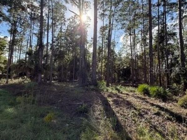 215 HIDEAWAY LANE , GEORGETOWN, FL 32139