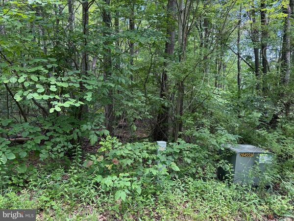 APEX COURT, SWANTON, MD 21561