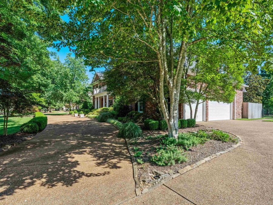Property Image 37