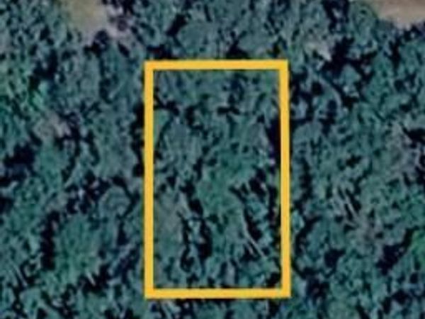 Tampa Circle, Pearlington, MS 39572