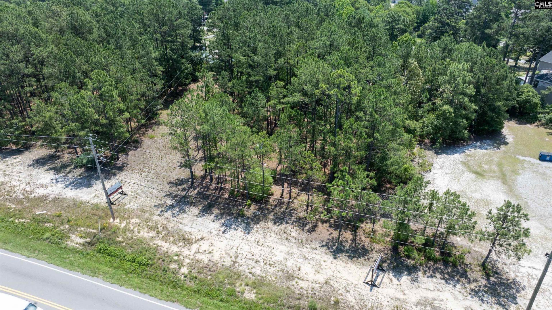 10816 Two Notch Road  Photo 4