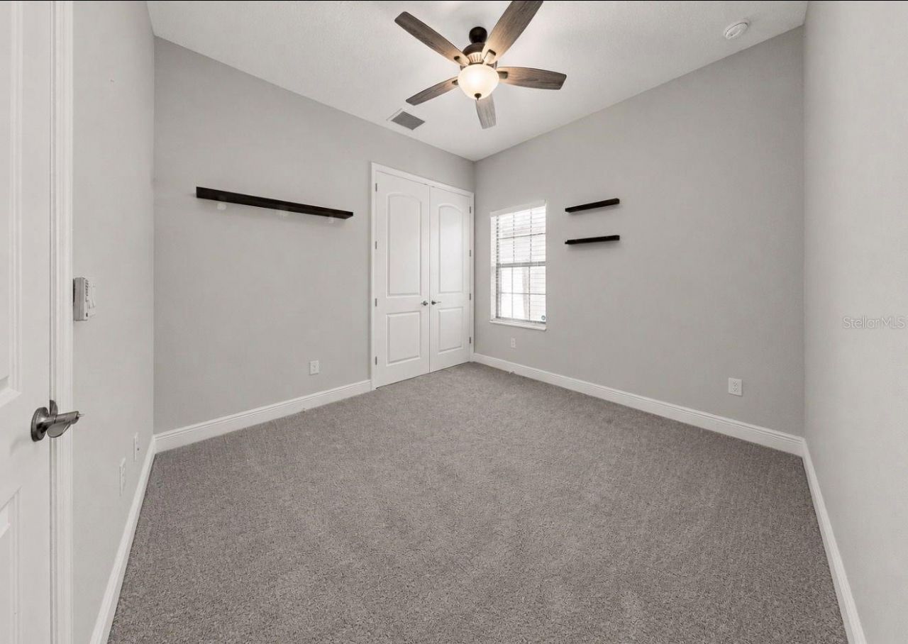 13712 Osprey Fern Lane, Riverview, FL 33569 Photo