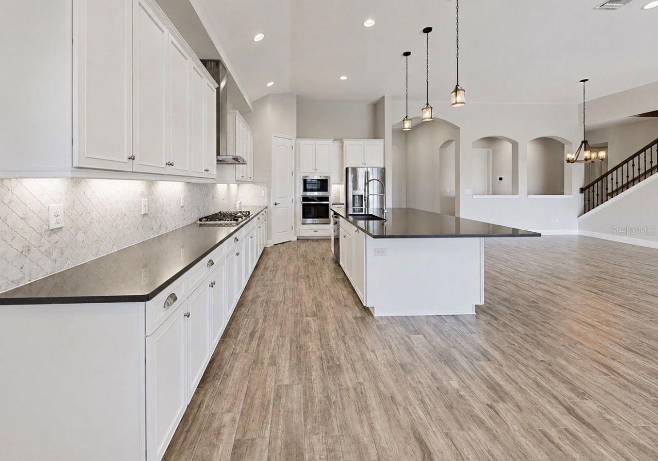 13712 Osprey Fern Lane, Riverview, FL 33569 Photo