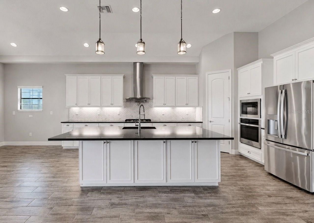 13712 Osprey Fern Lane, Riverview, FL 33569 Photo