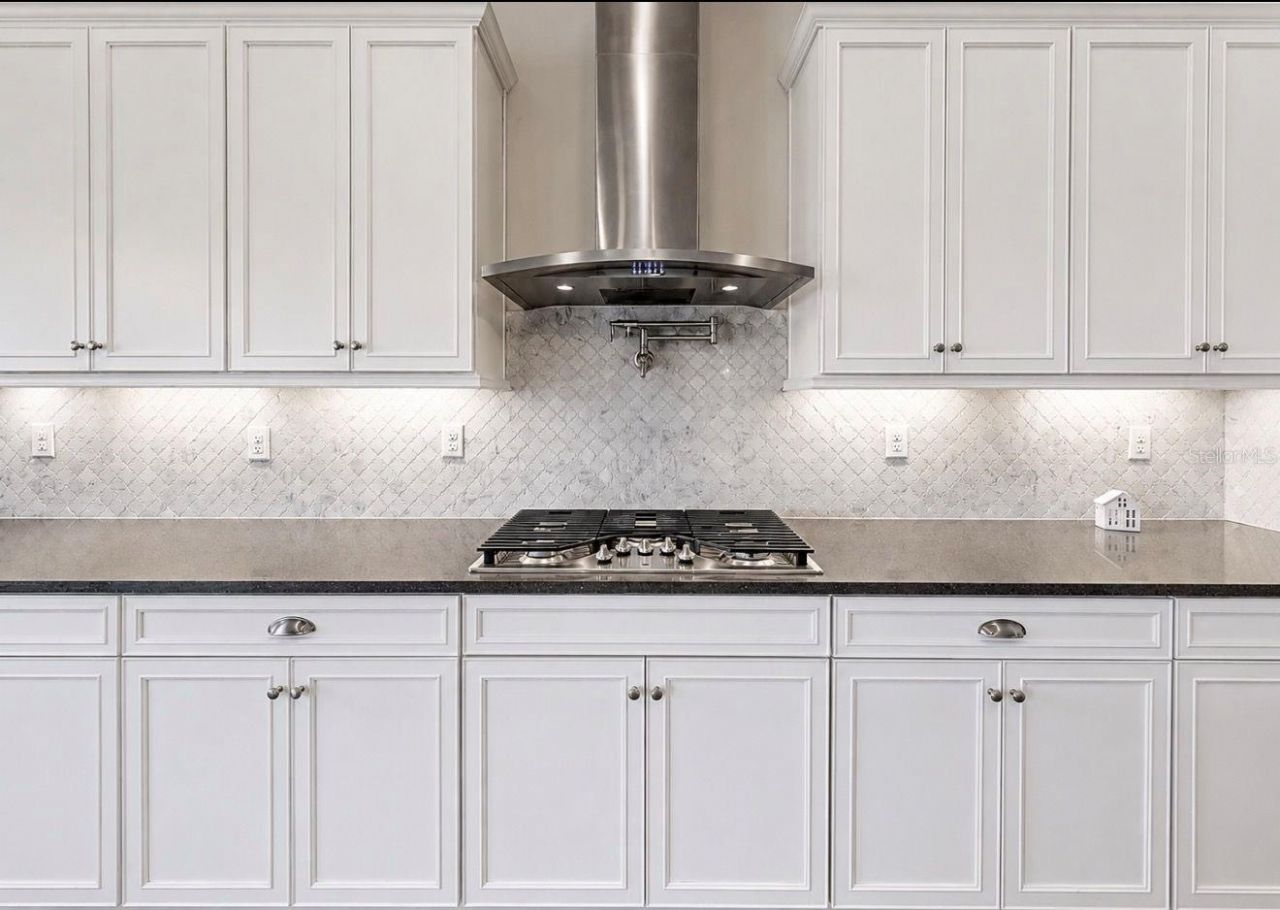 13712 Osprey Fern Lane, Riverview, FL 33569 Photo