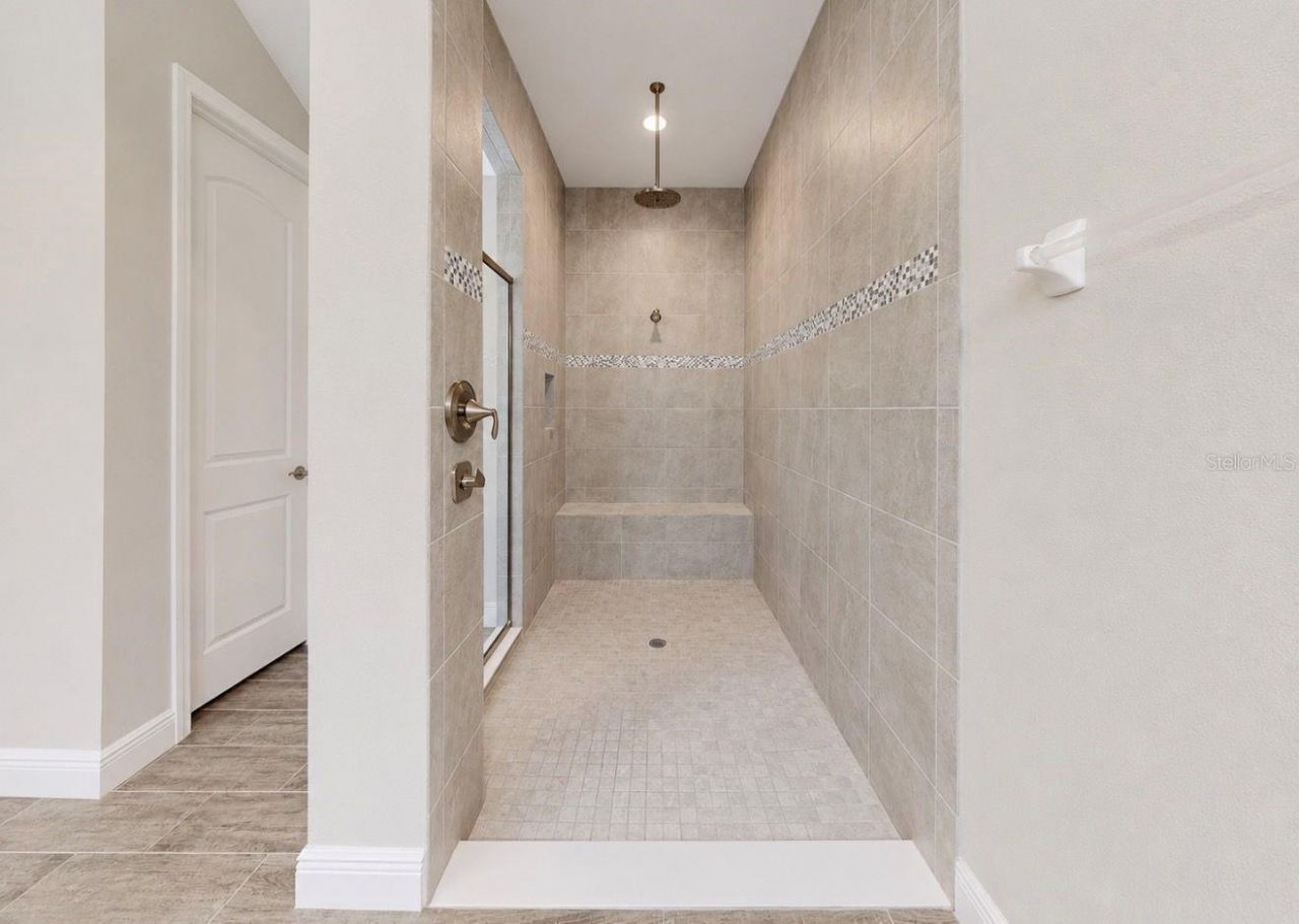 13712 Osprey Fern Lane, Riverview, FL 33569 Photo