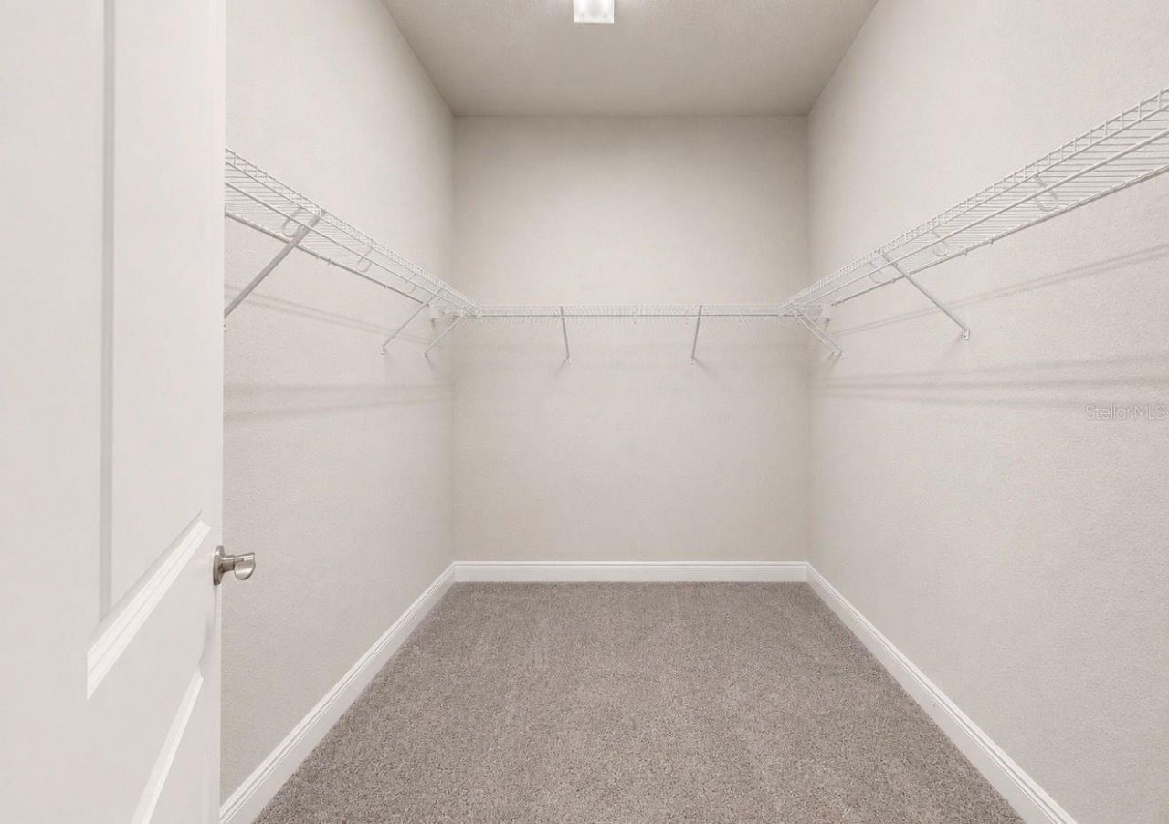 13712 Osprey Fern Lane, Riverview, FL 33569 Photo
