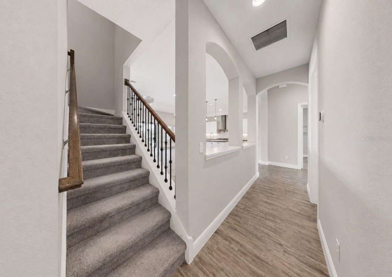 13712 Osprey Fern Lane, Riverview, FL 33569 Photo