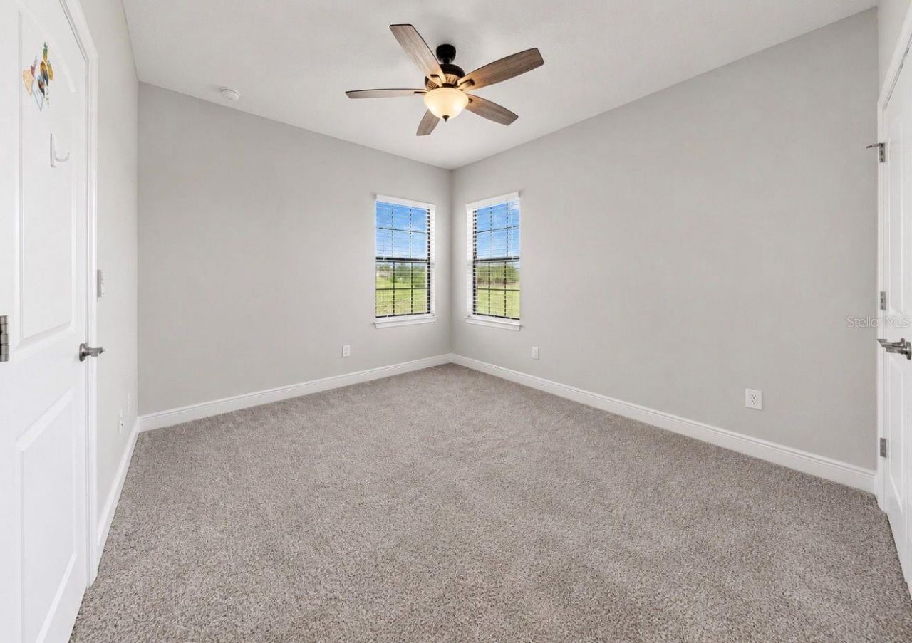 13712 Osprey Fern Lane, Riverview, FL 33569 Photo