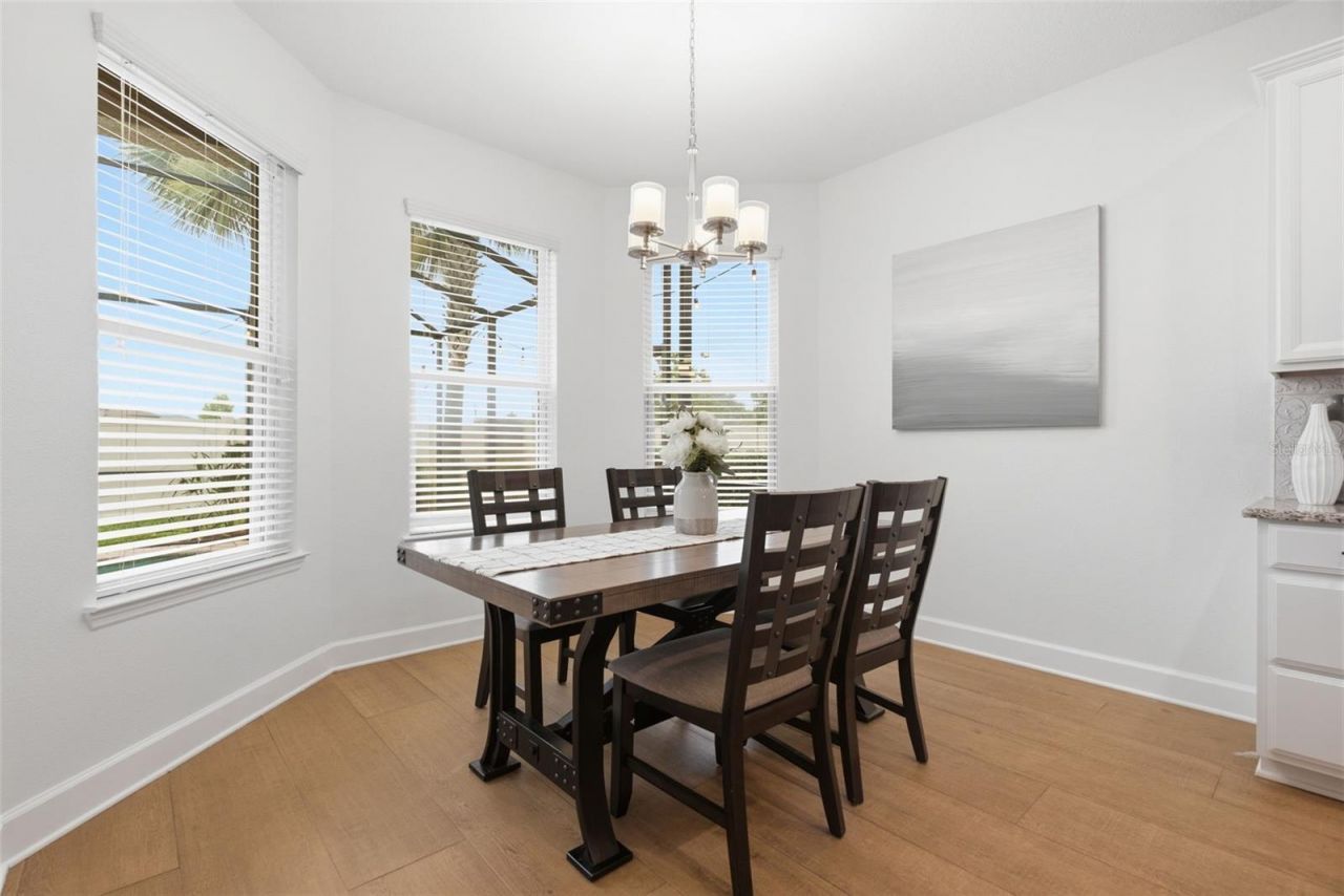 9323 Bella Vita Circle , Land O Lakes, FL 34637 Photo