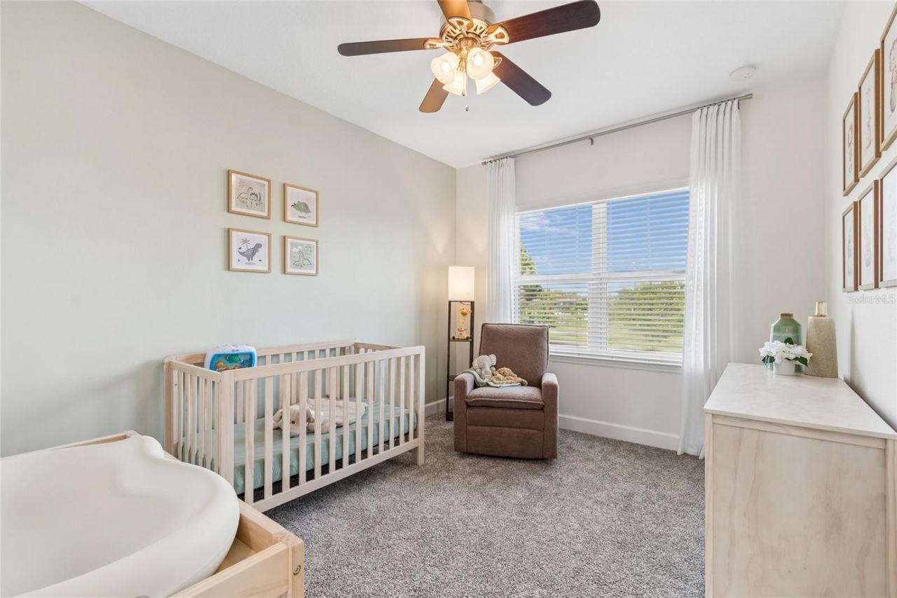 9323 Bella Vita Circle , Land O Lakes, FL 34637 Photo