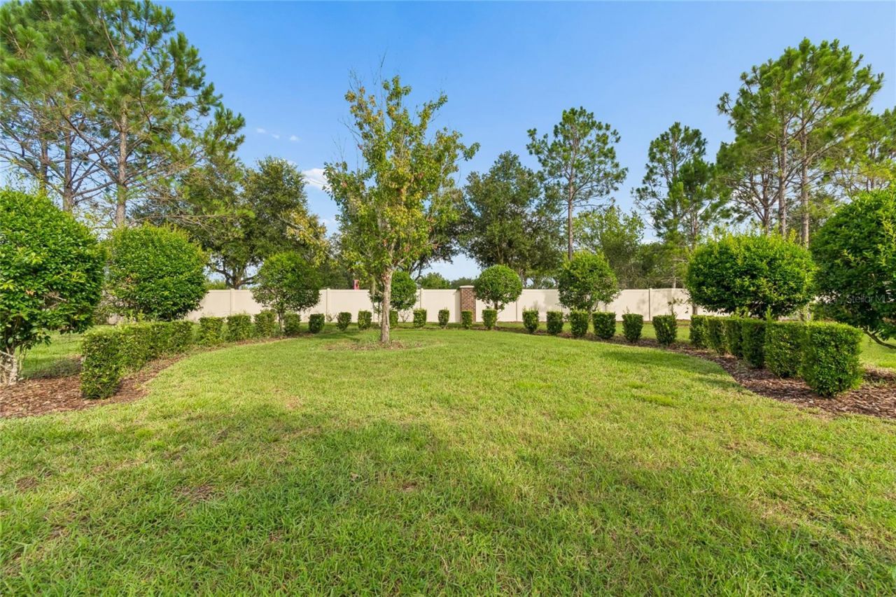 9323 Bella Vita Circle , Land O Lakes, FL 34637 Photo