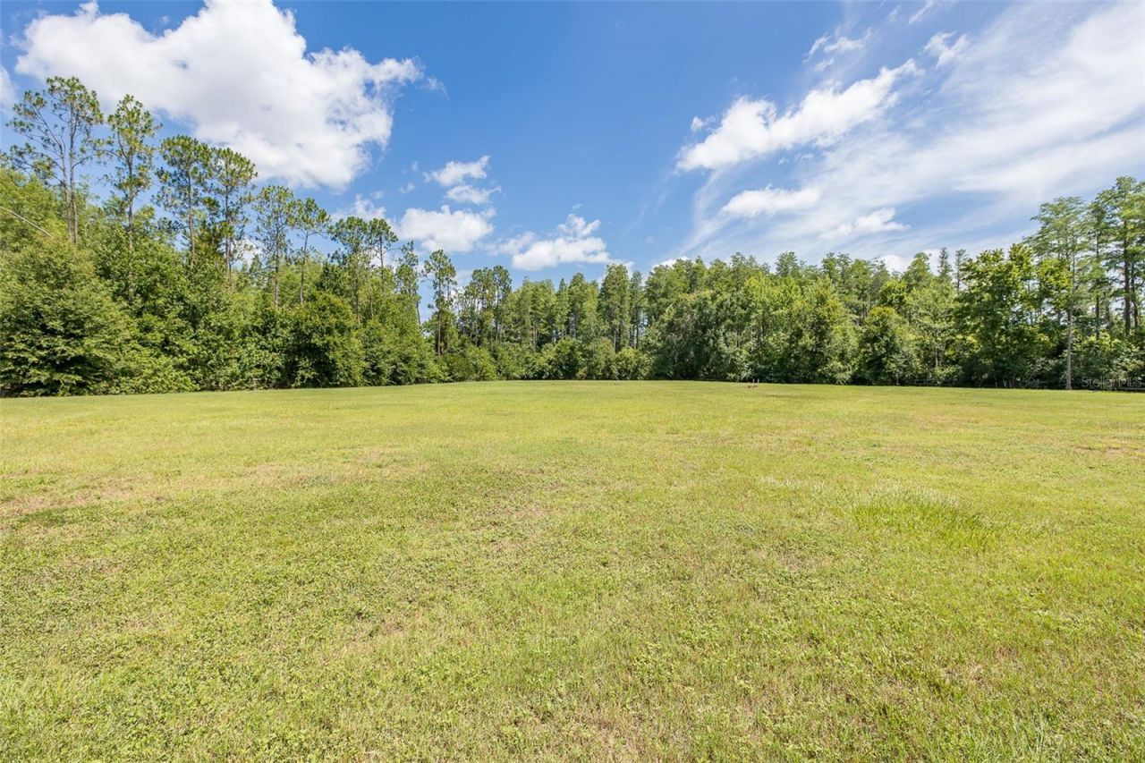 0 Trackside Drive, Odessa, FL 33556 Photo