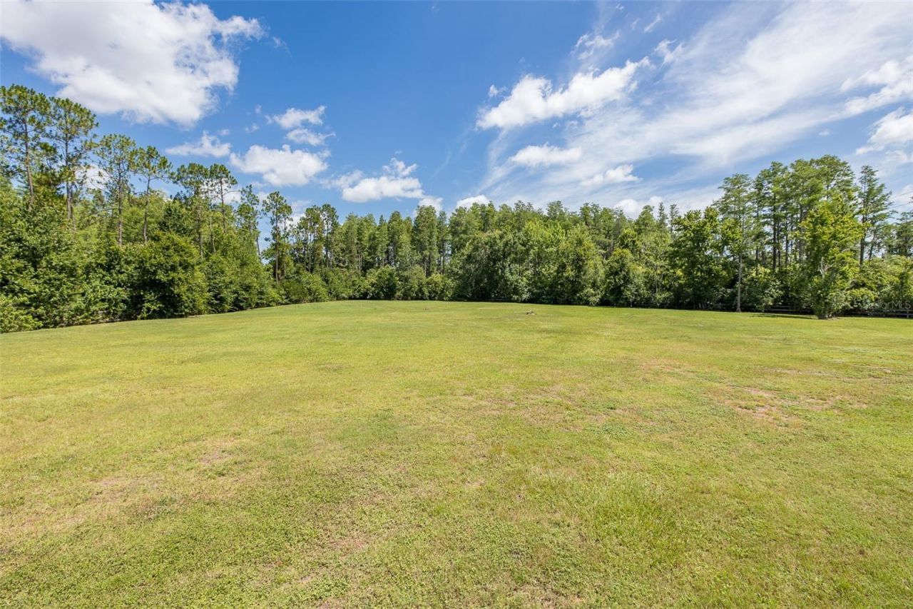 0 Trackside Drive, Odessa, FL 33556 Photo
