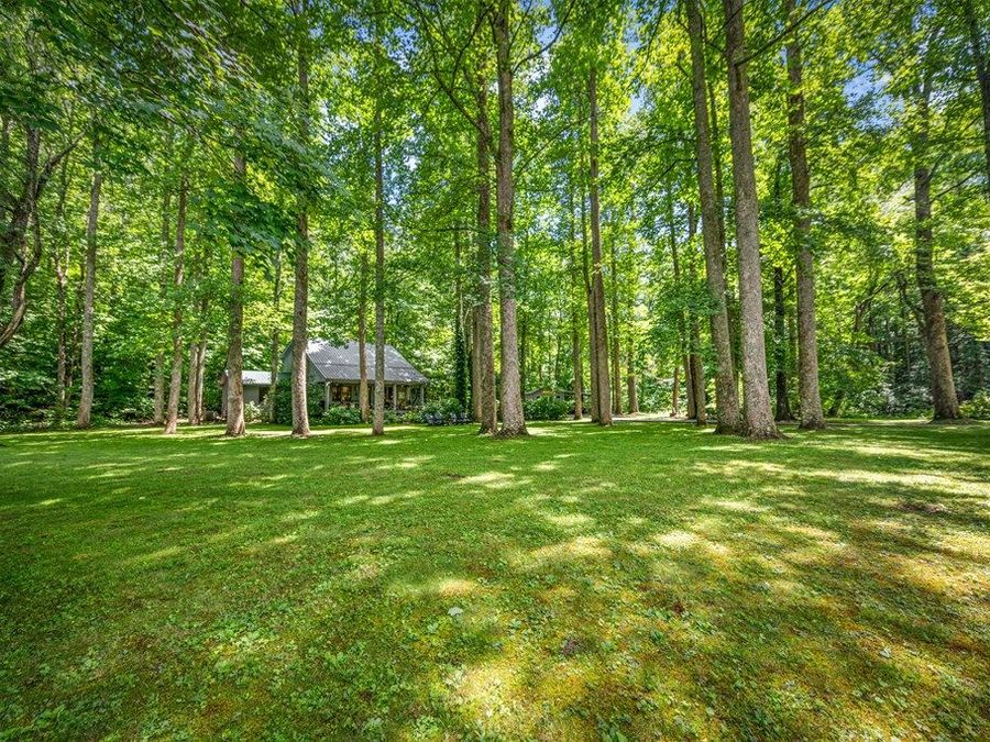 Property Image 78