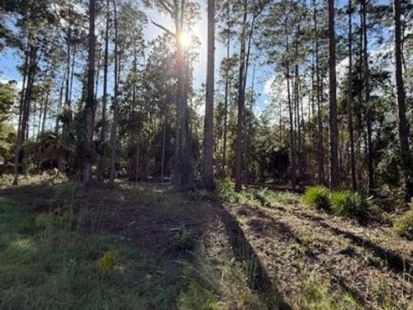215 Hideaway Lane, Georgetown, FL 32139