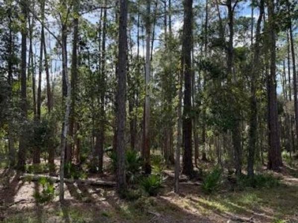 207 Ocala Court, Georgetown, FL 32139