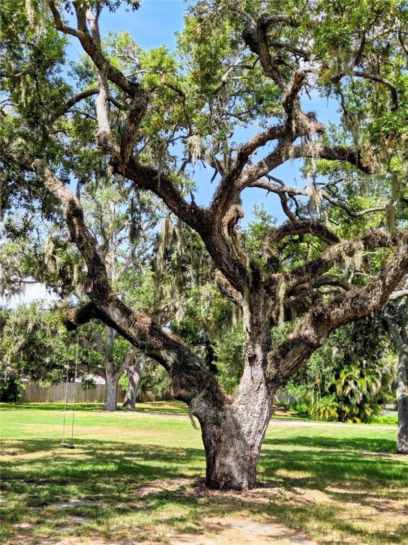 3348 Alamo Lane, Sarasota, FL 34235 Photo