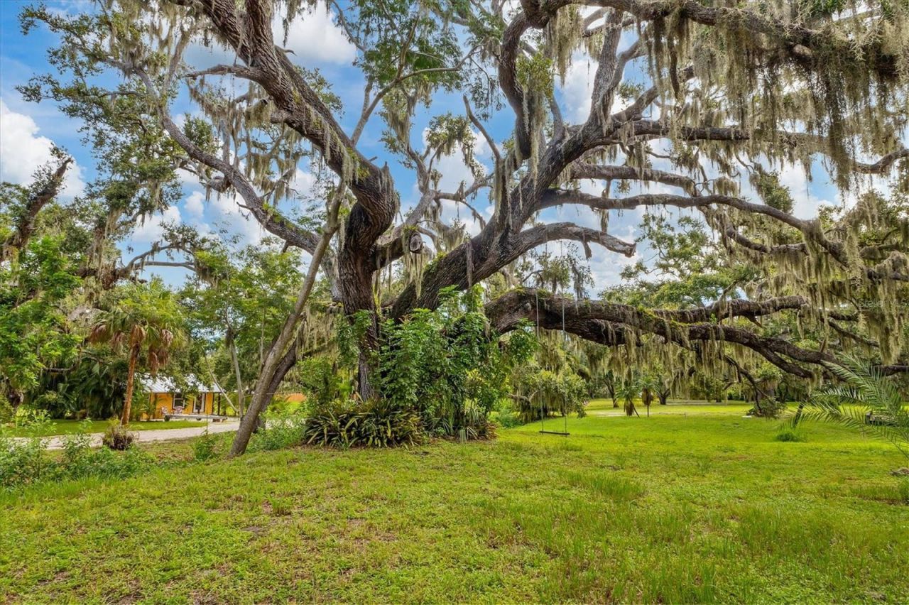 3348 Alamo Lane, Sarasota, FL 34235 Photo
