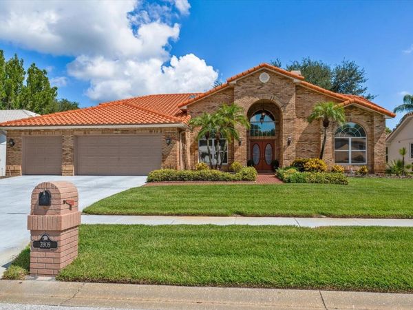 3909 TARIAN COURT , PALM HARBOR, FL 34684