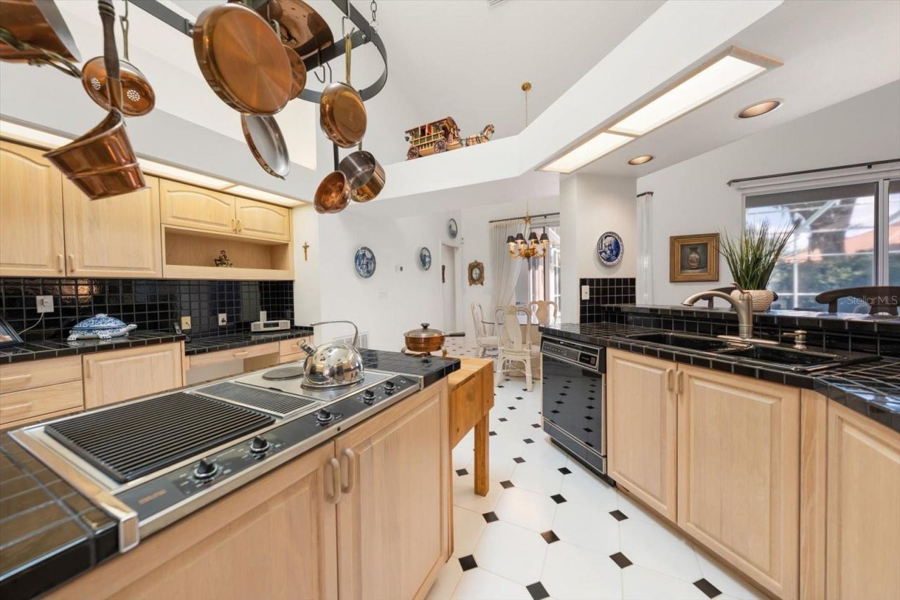 3909 Tarian Court, Palm Harbor, FL 34684 Photo
