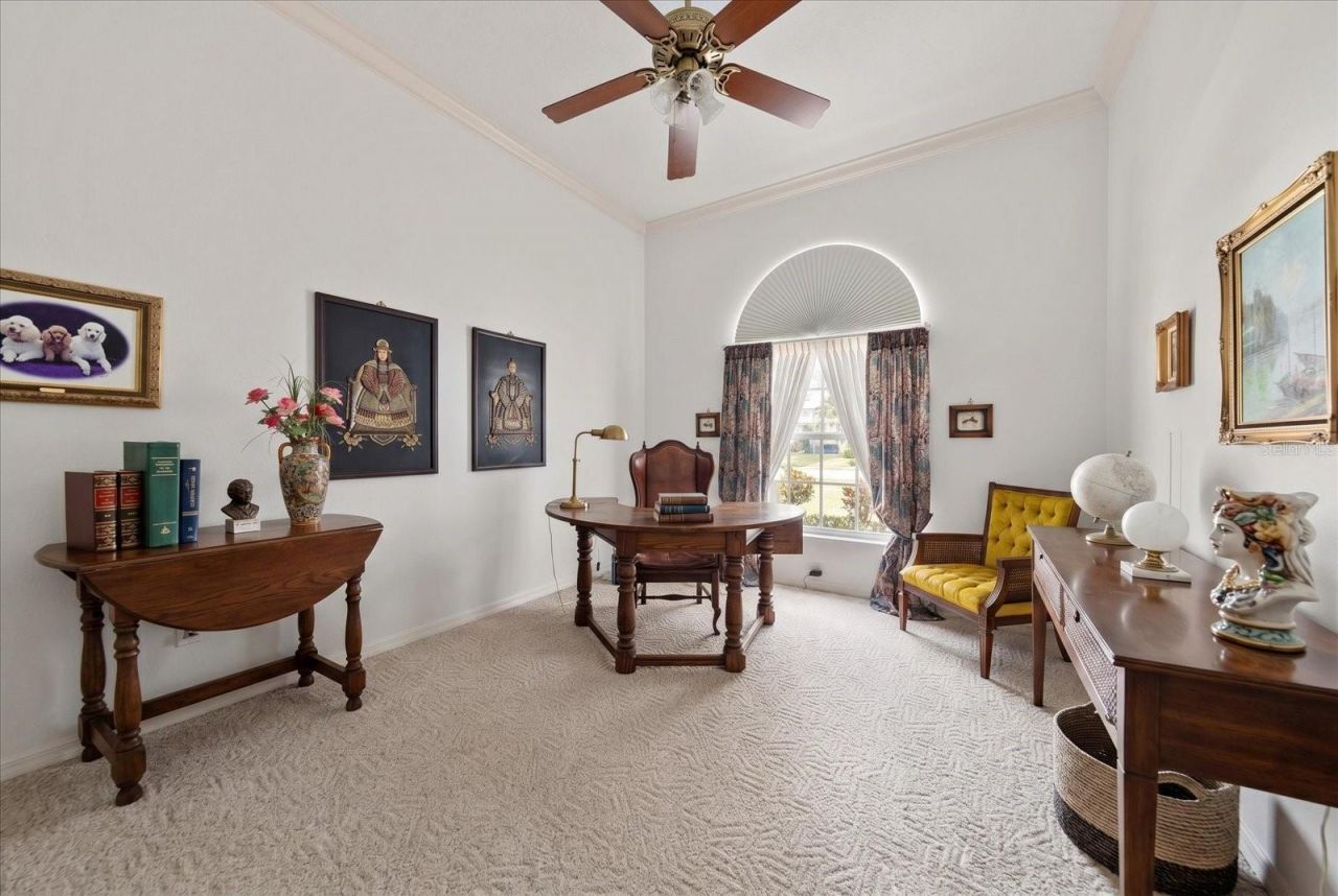 3909 Tarian Court, Palm Harbor, FL 34684 Photo