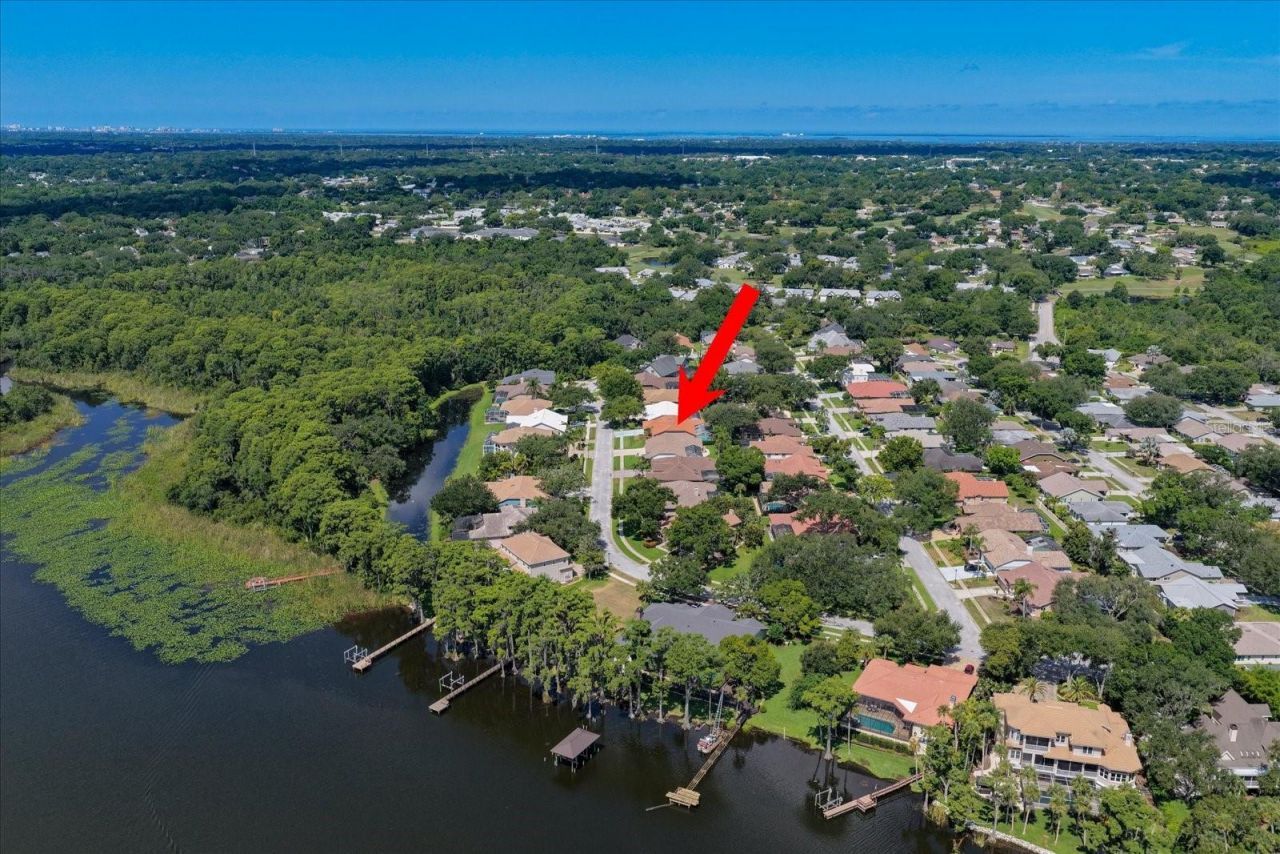 3909 Tarian Court, Palm Harbor, FL 34684 Photo