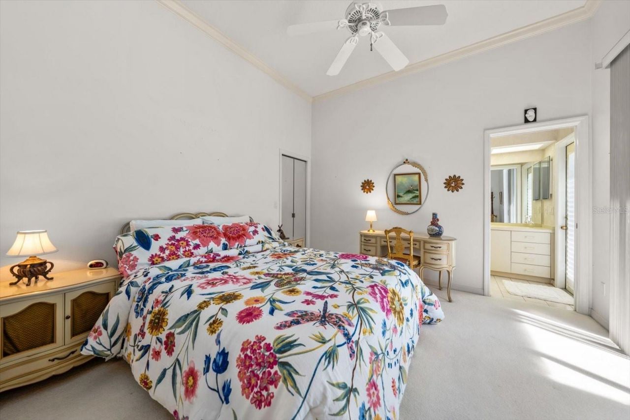 3909 Tarian Court, Palm Harbor, FL 34684 Photo