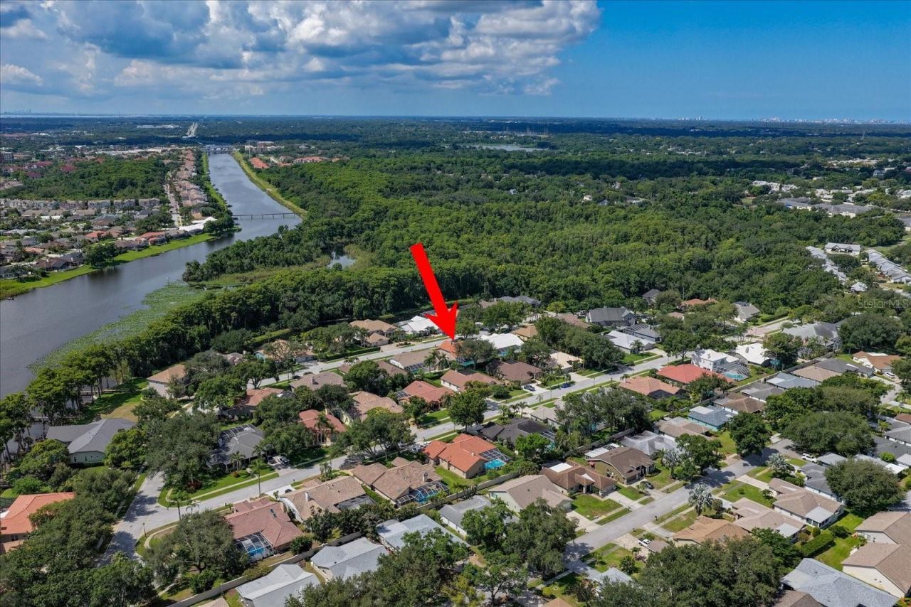 3909 Tarian Court, Palm Harbor, FL 34684 Photo