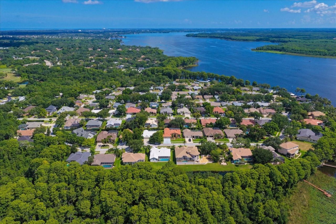 3909 Tarian Court, Palm Harbor, FL 34684 Photo