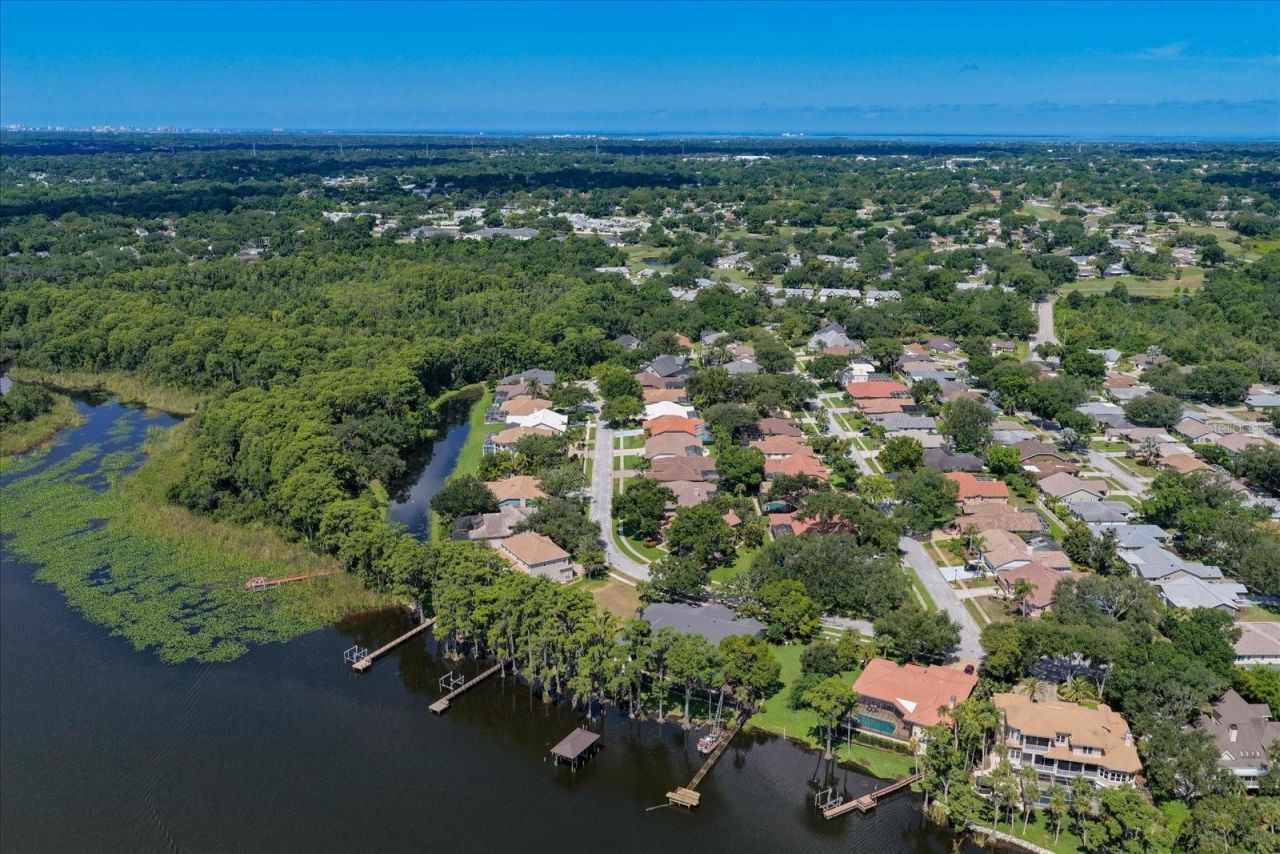 3909 Tarian Court, Palm Harbor, FL 34684 Photo