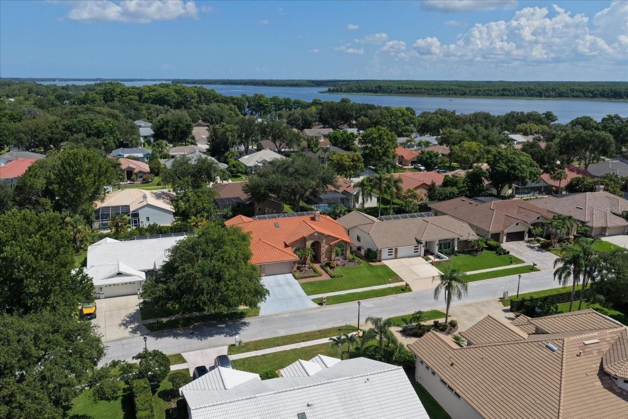 3909 Tarian Court, Palm Harbor, FL 34684 Photo