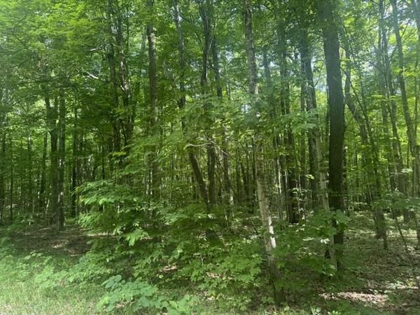 4621 Carrick Trail, Mancelona, MI 49659