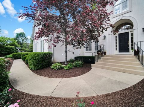 Main Photo