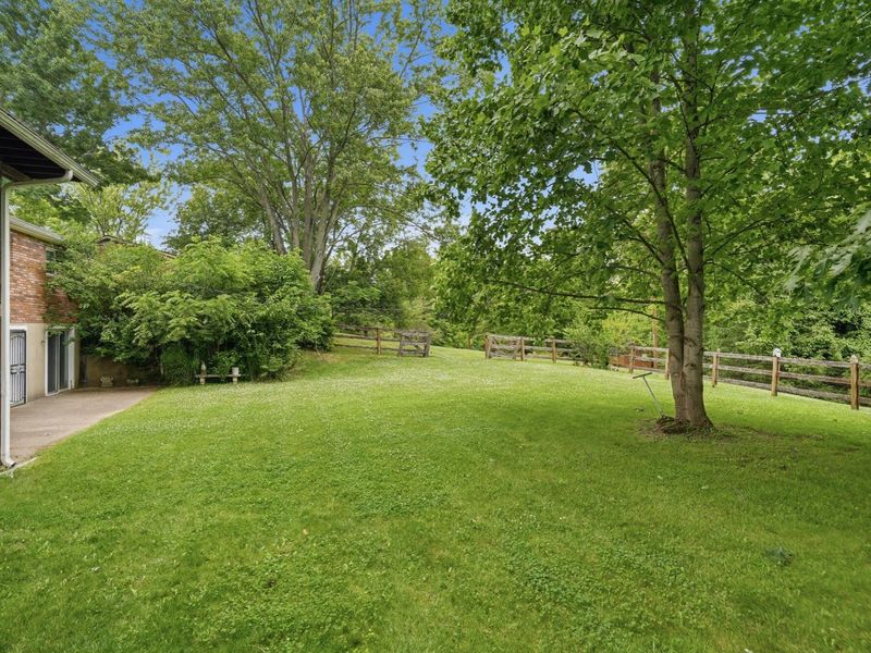 11969 Catalina Drive, Independence, KY 41051 Photo 44