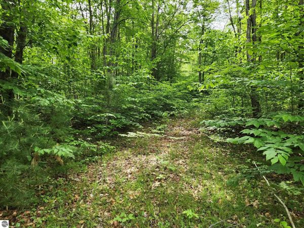 10 Blue Lake Road, Ne, Kalkaska, MI 49646